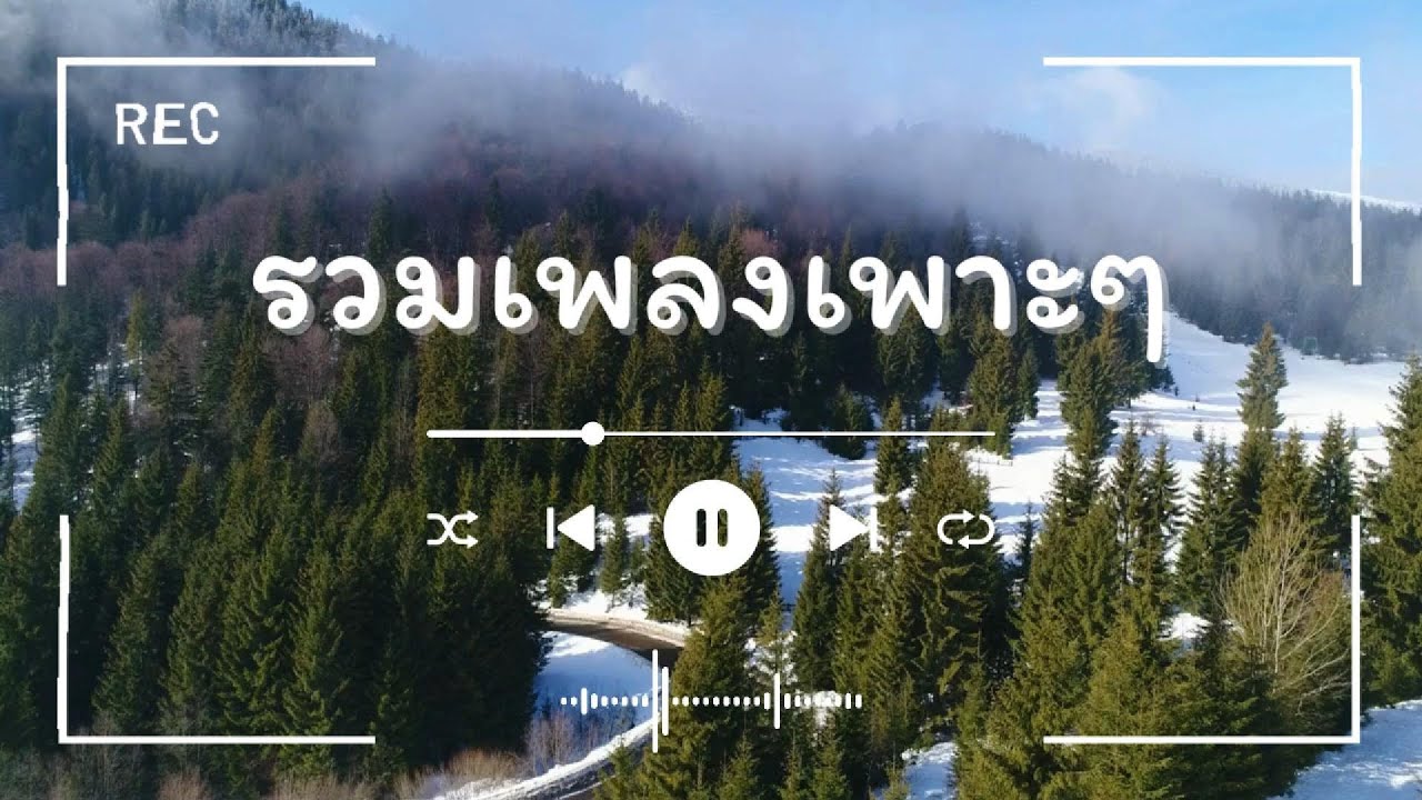 รวมเพลงฟังสบาย ฟังยาวต่อเนื่อง | ชิลทั้งวัน ไม่ต้องกดข้าม