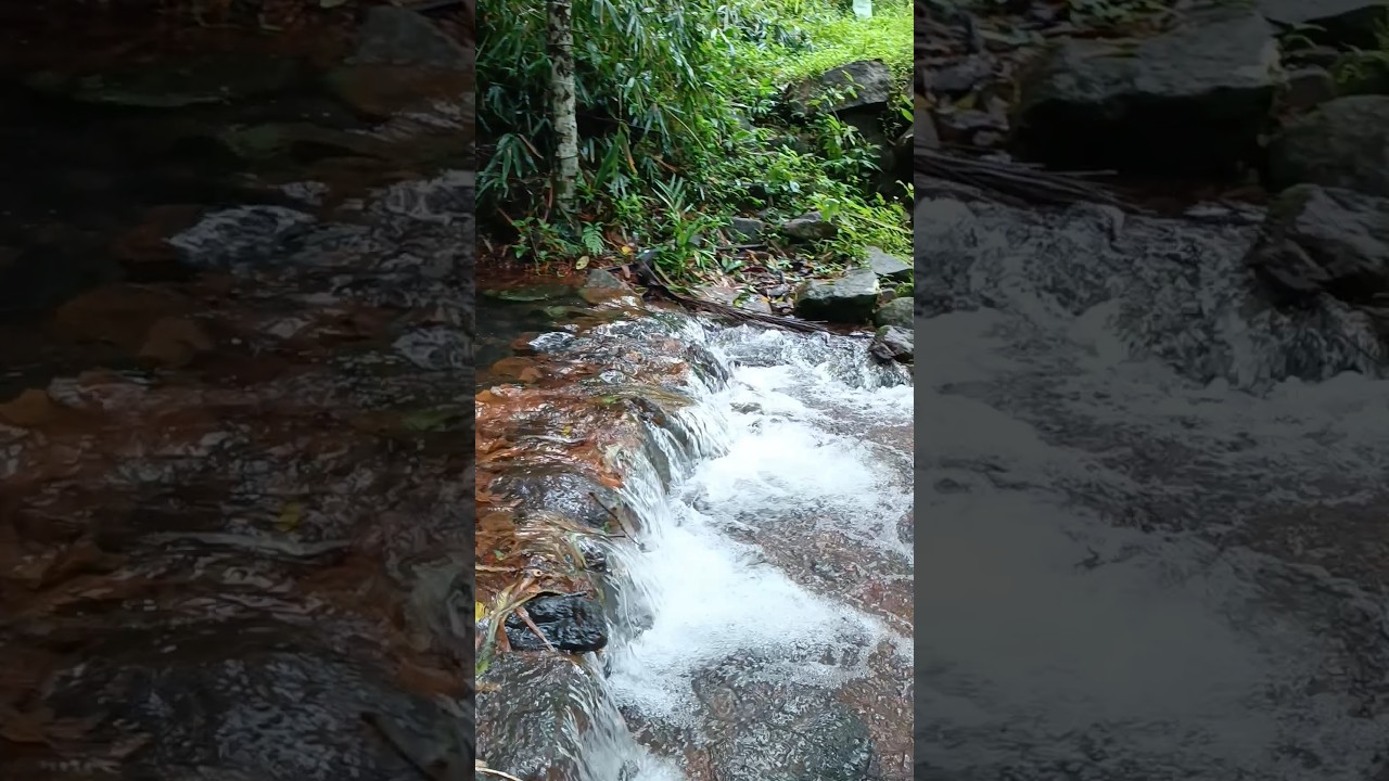 📍Iritty, Kannur, Kerala 