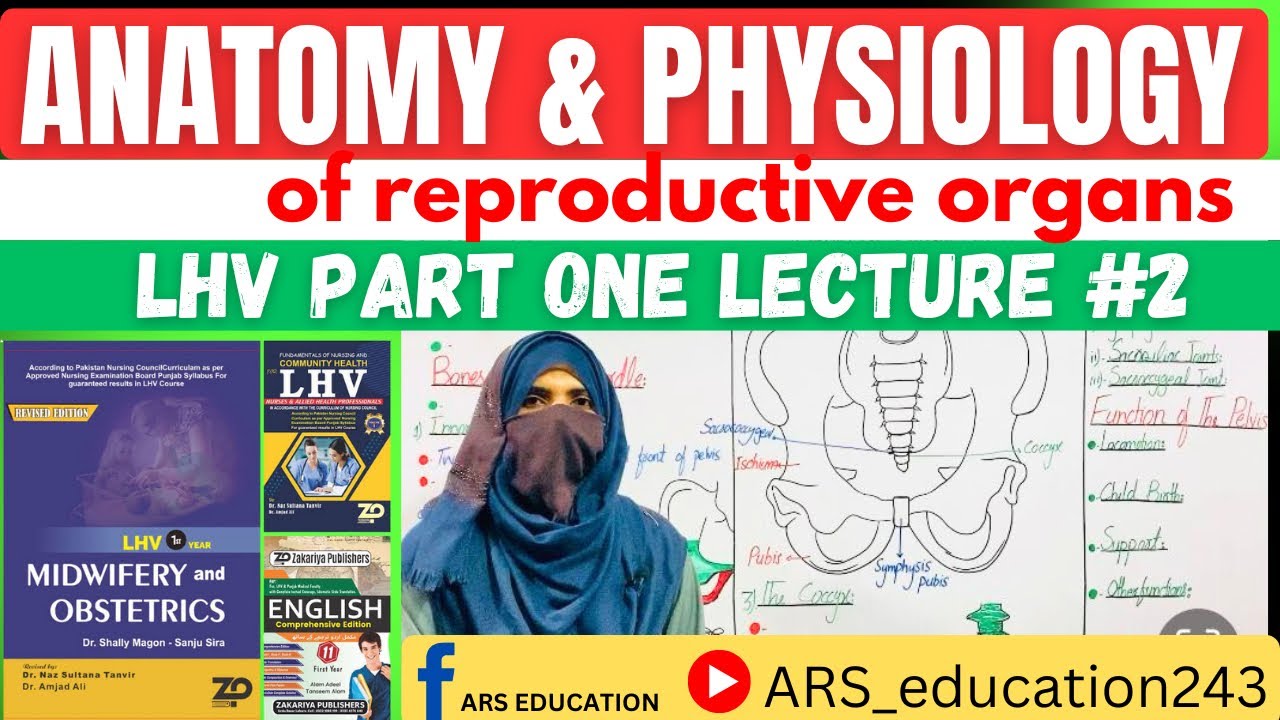 LHV part1|Midwifery|Obstetrians|Lecture No.2 The Pelvis|Pelvic girdle|Bones and Joints of Pelvis
