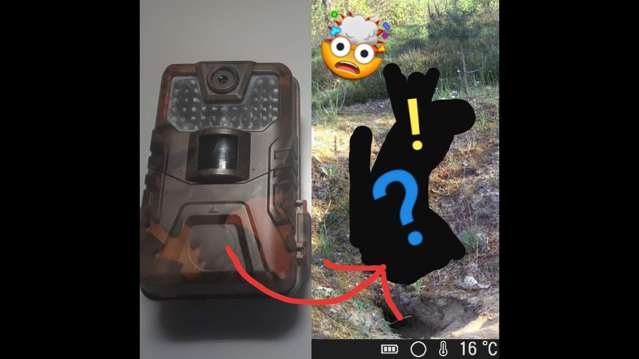 Kamera Leśna HC-900A - Moja Pierwsza Fotopułapka🦌🐗