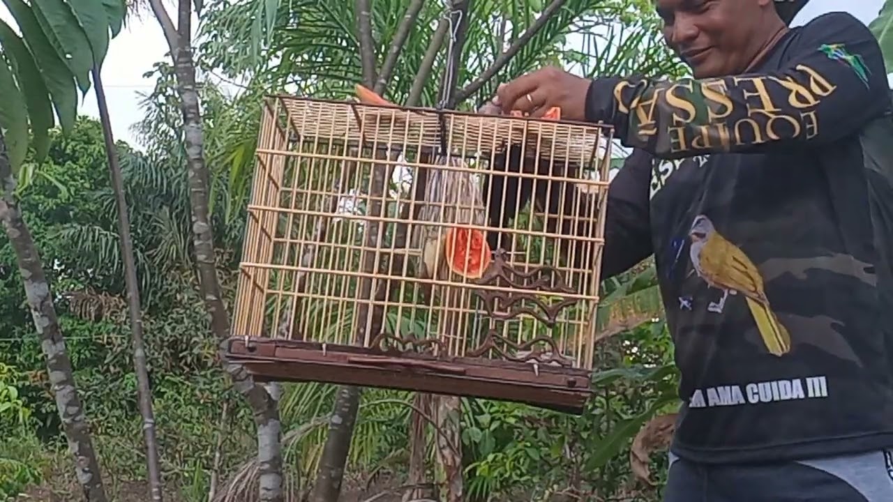 pegada de pipira Preta Pedra Preta