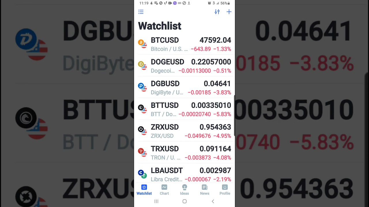 Shibusd Update and Projection