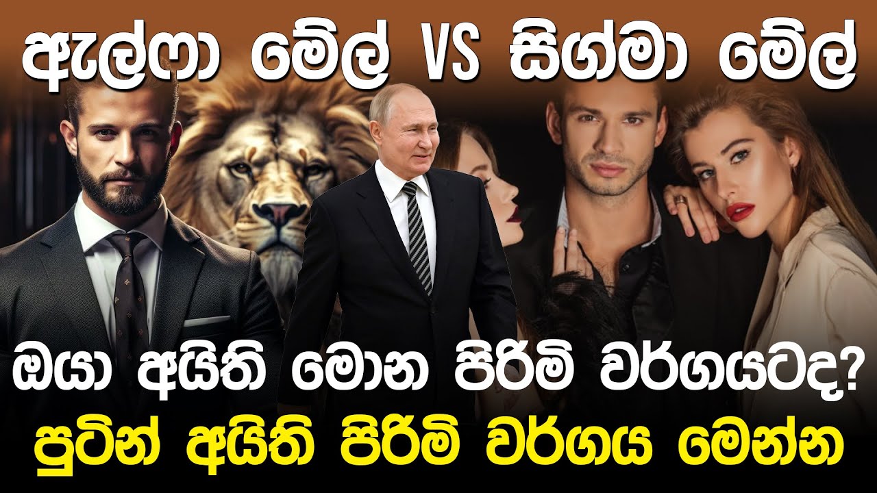 ඔයා අයිති මොන පිරිමි වර්ගයටද? | Alpha male and Sigma male |