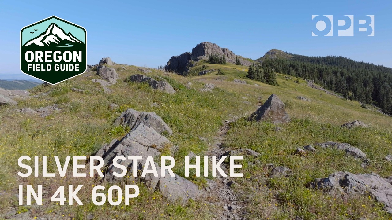 Take a hike on top of Silver Star Mountain in Washington in 4K 60fps — OPB’s Slow TV