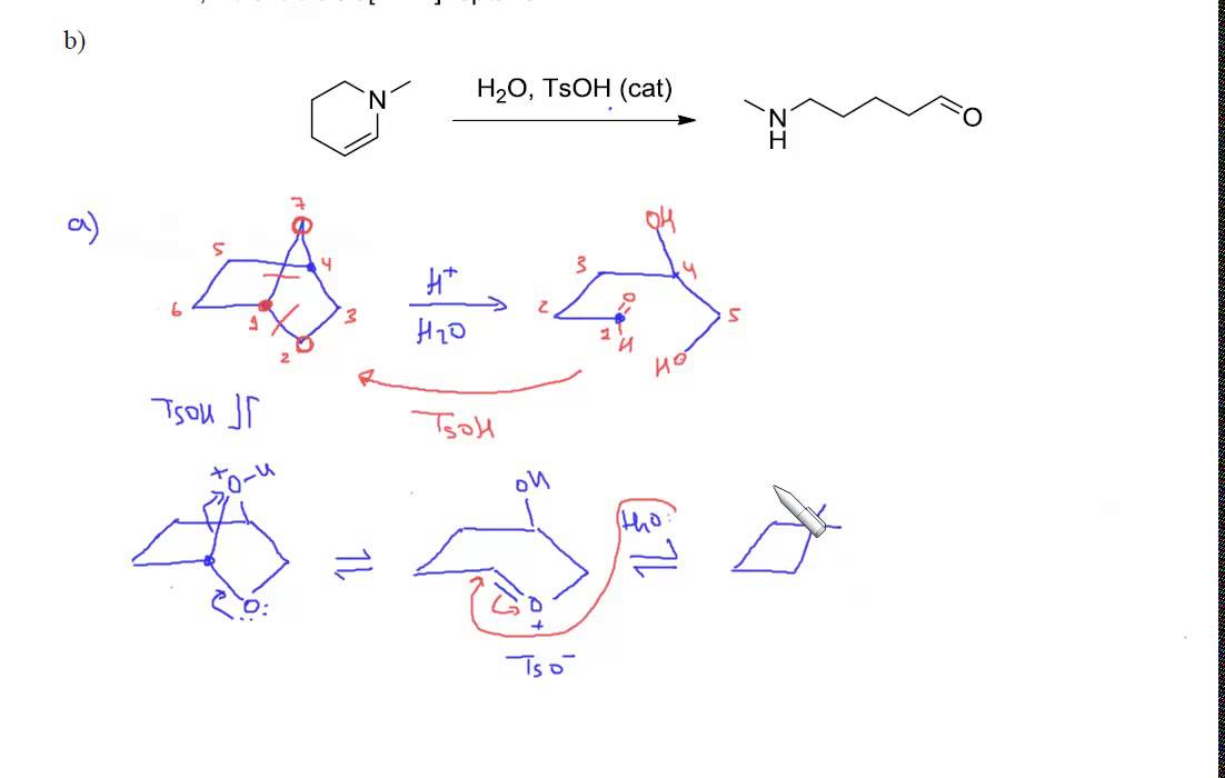 Hidrólisis de un acetal cíclico y de una enamina
