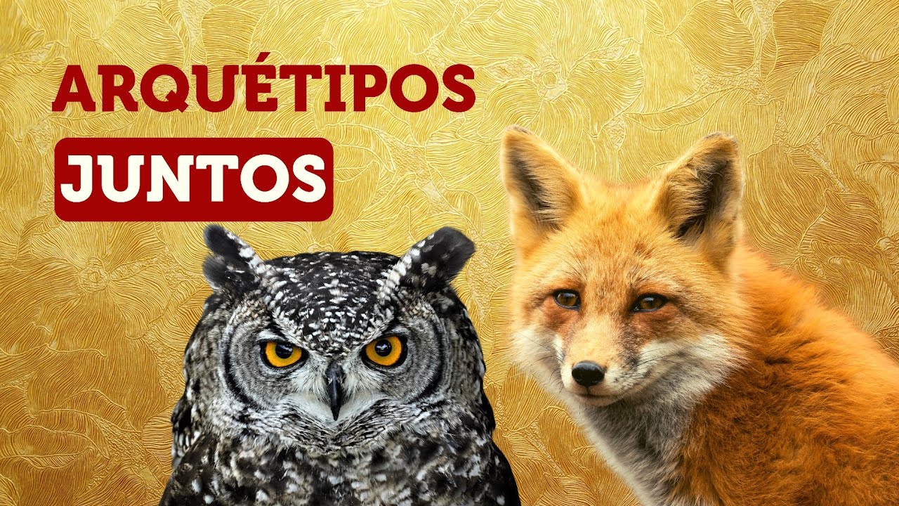 ARQUÉTIPOS DA CORUJA E RAPOSA JUNTOS