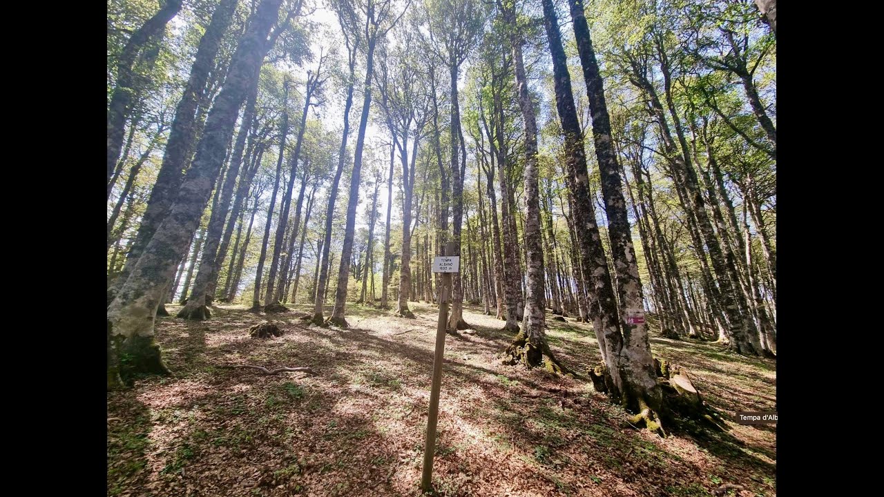 Sasso di Castalda (PZ) - Programma della Rai Alta Quota - Sulla cima del Monte Arioso a 1710