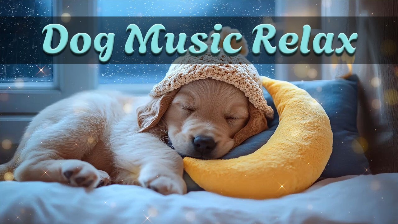 🐶 Музыка для собак — Расслабляющая терапия для нервных питомцев | Слушают миллионы