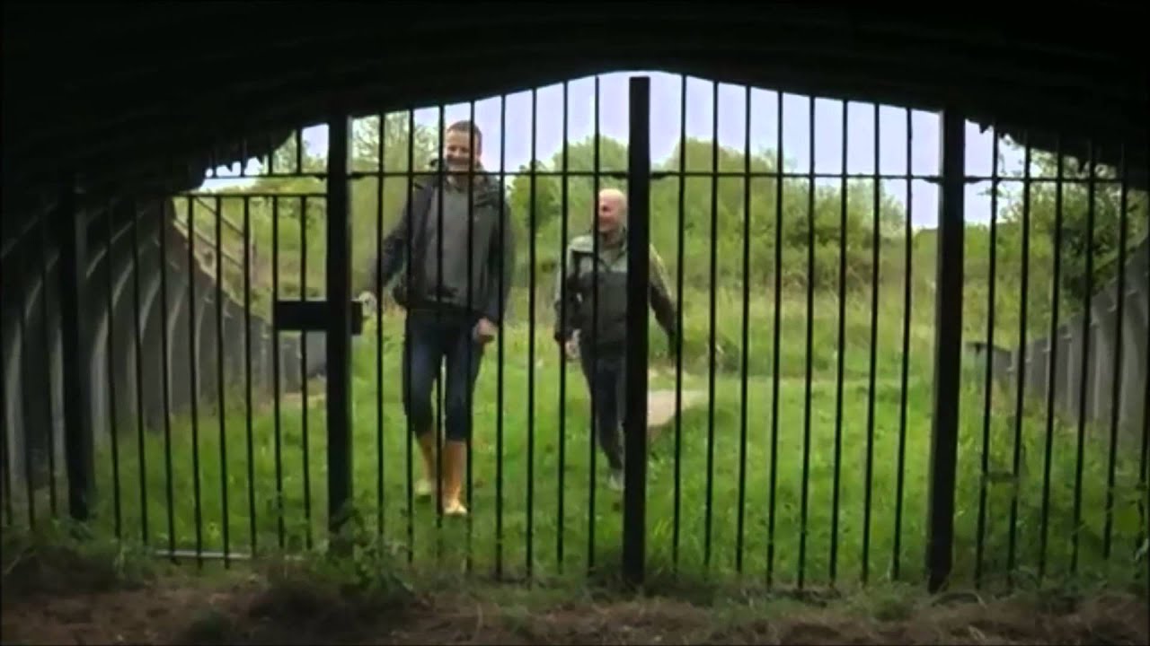 Great Crested Newts on The One Show (2015)