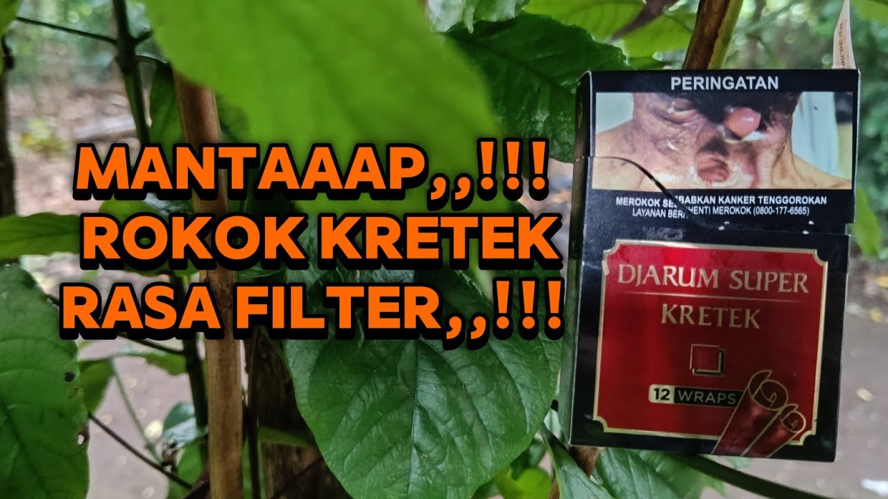 Review Rokok Djarum Super Kretek || Rokok Krerek || 