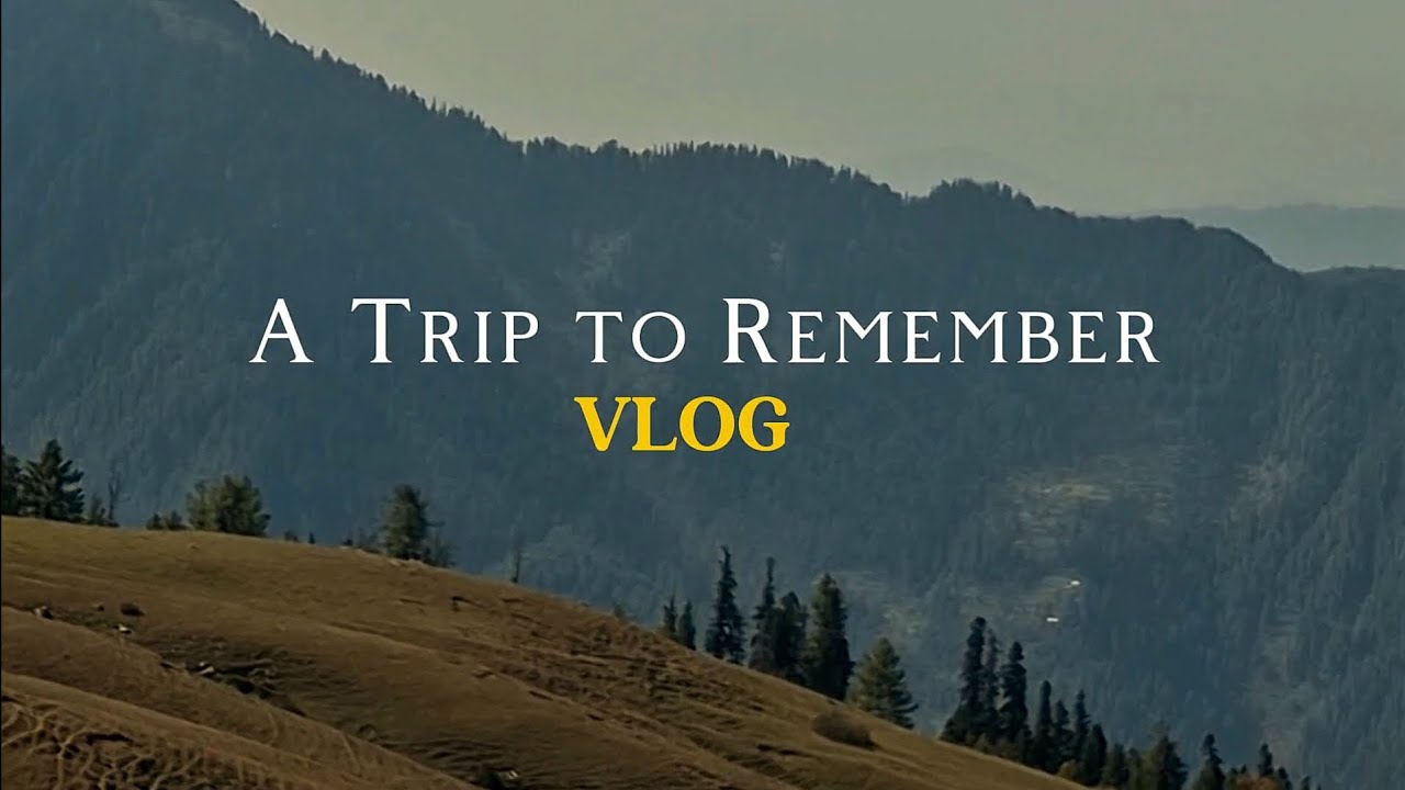 Glimpses of the last college trip 💫 | #vlog 