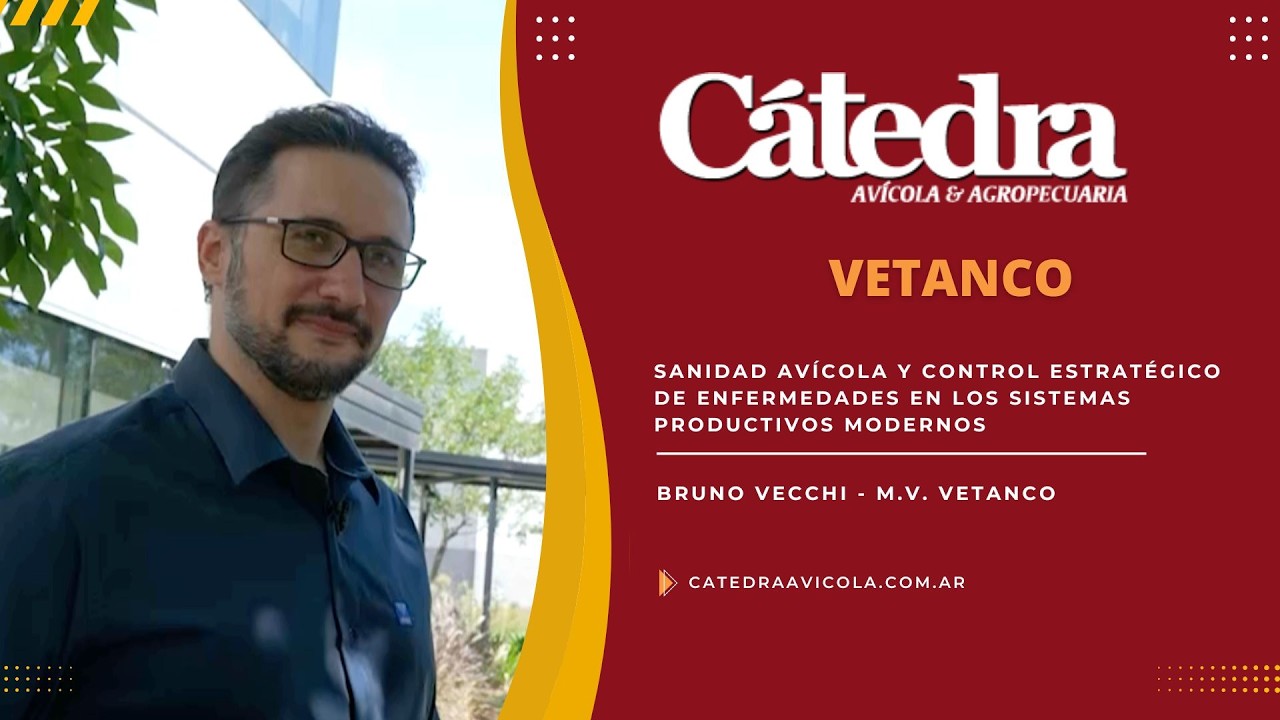 Sanidad avícola y control estratégico de enfermedades en los sistemas productivos modernos