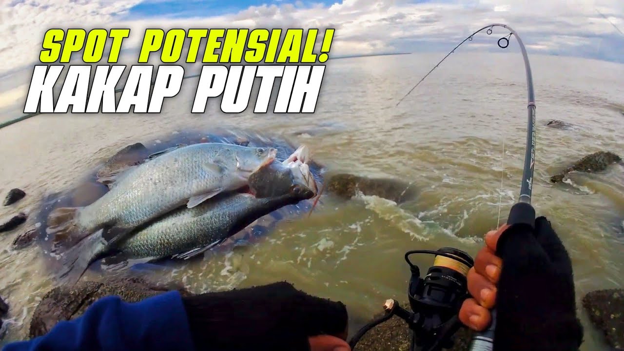 ULTRALIGHT CASTING! Barramundi ini Bikin Joranku Kewalahan!