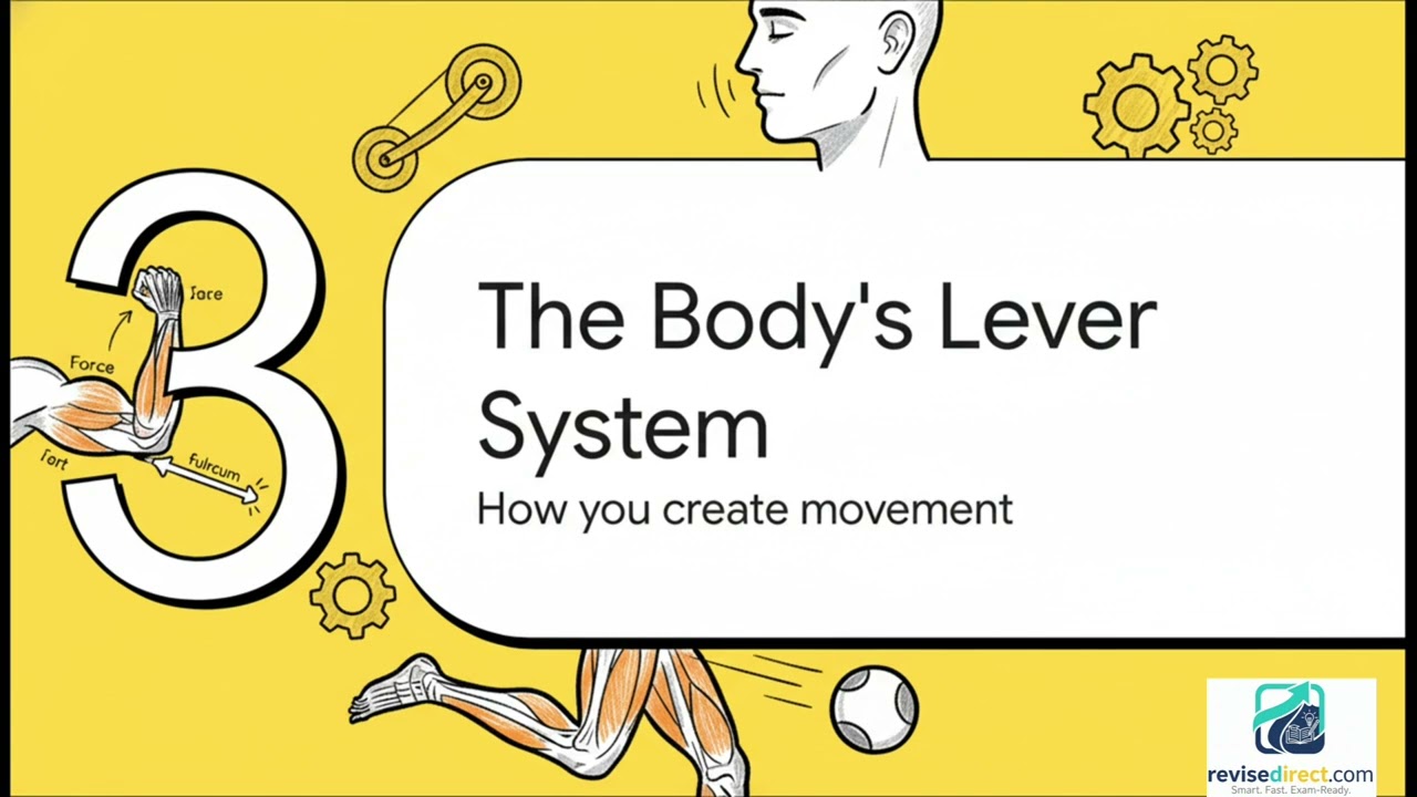 7 Simple Biomechanics | IGCSE Level PE 0413 / 0995