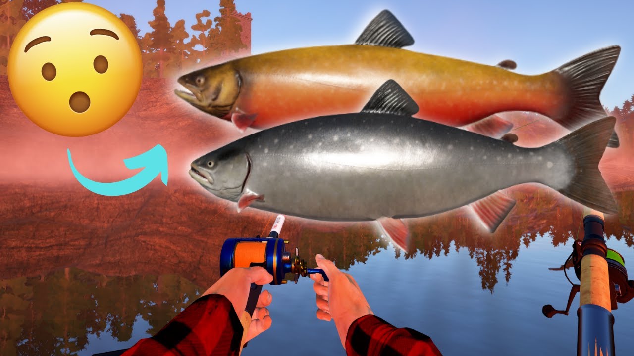 Kuori char & artic char spot at kuori lake! #184 Russian fishing 4