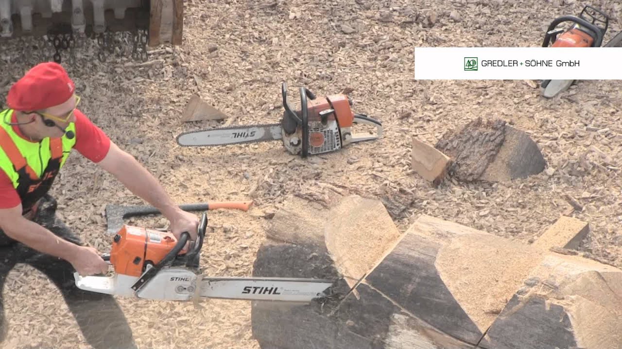 Gredler & Söhne auf der Präsenta 2012 Graben Neudorf / Holzskulpturen / Guntram Prochaska