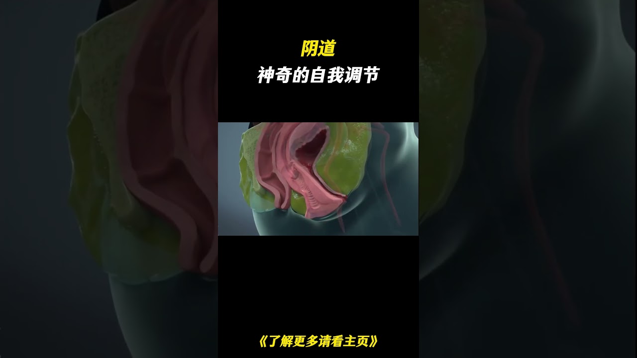 阴道神奇的自我调节机制 #科普一下