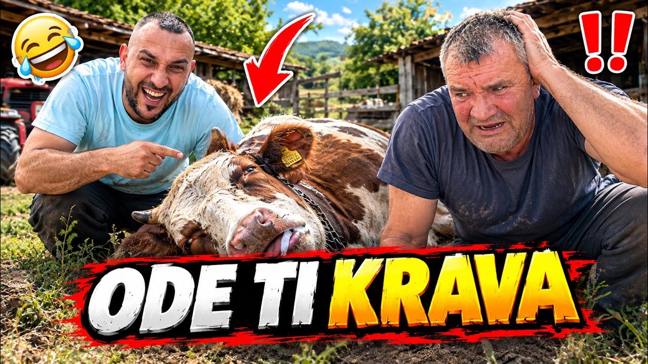 ROLE I BRKIĆ - DA BOG DA TI KRAVE POCRKALE😂