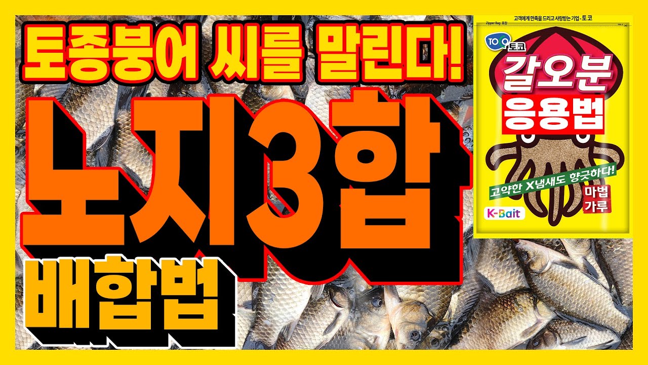 토종붕어 킬러~노지3합 배합법