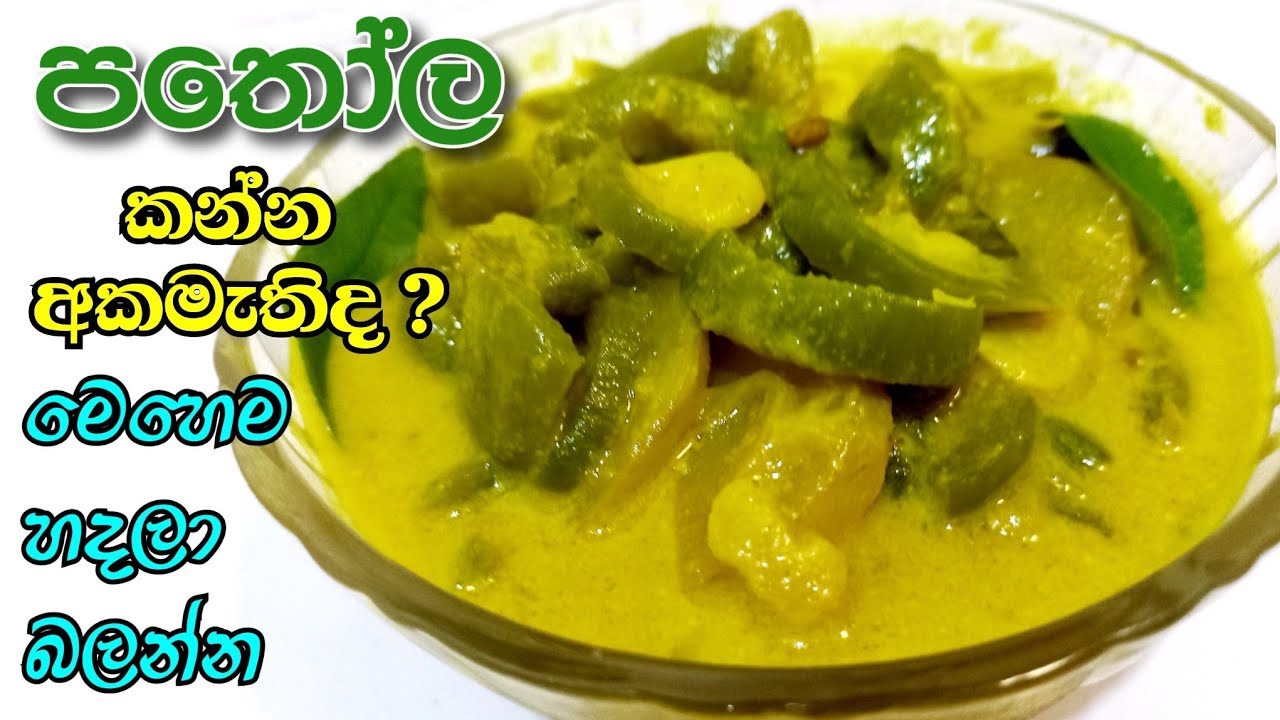 උෂ්ණාධික මේ කාලේ ඇග නිවෙන්න පතෝල කරිය මේ විදියට හදන්න | Snake gourd Sinhala | Pathola Curry