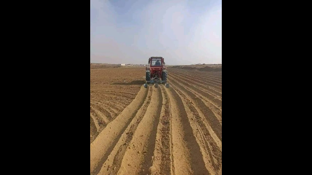 للبيع ٣٠ فدان بالواحات البحريه