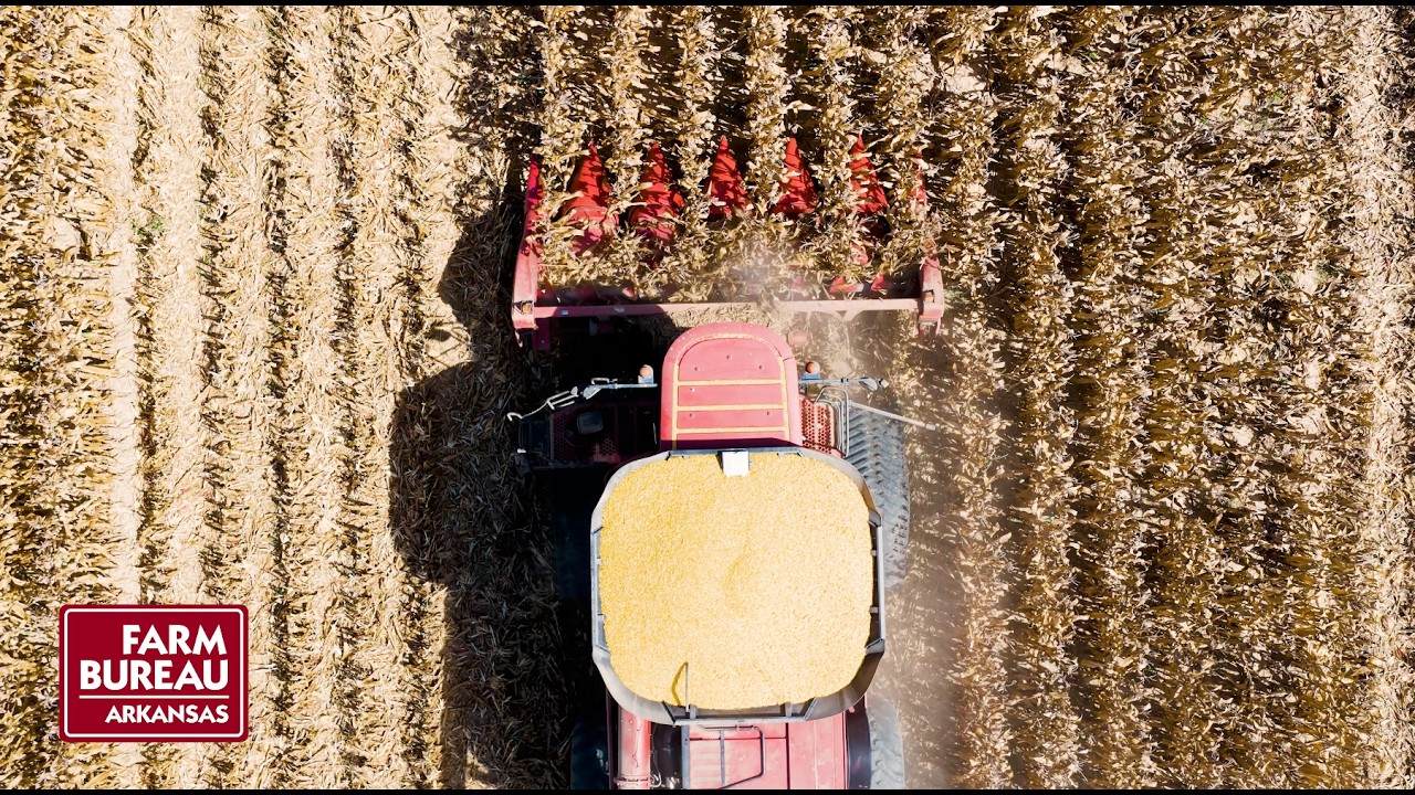 2026 Corn Harvest Update