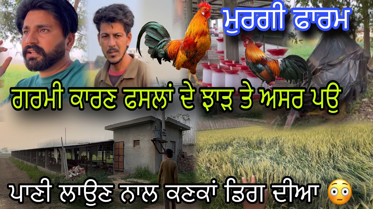 ਅੱਜ ਤਾ ਗਰਮੀ ਨੇ ਬੱਸ ਕਰਾਤੀ 