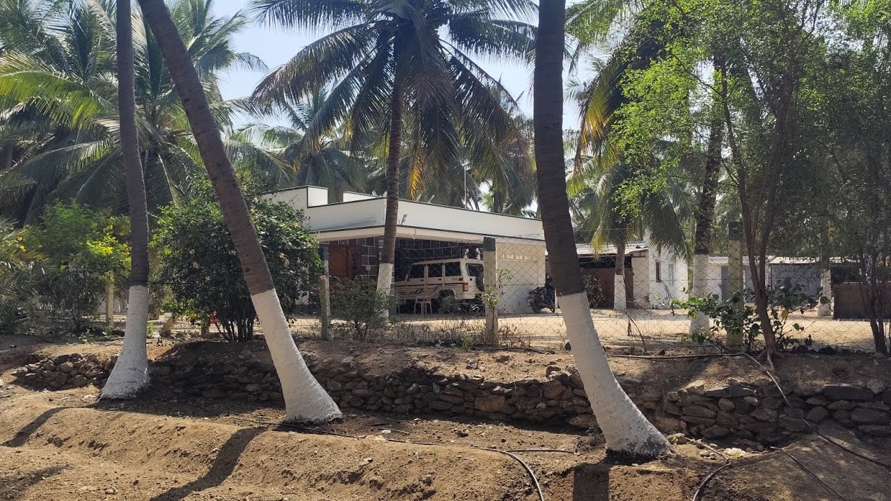 மொத்தம் 7 ஏக்கர்+செம்மண்பூமி+1300sqftRC house+2 தனிகிணறு +3 சர்வீஸ்+3 போர்வெல் உடன் விற்பனைக்கு#farm