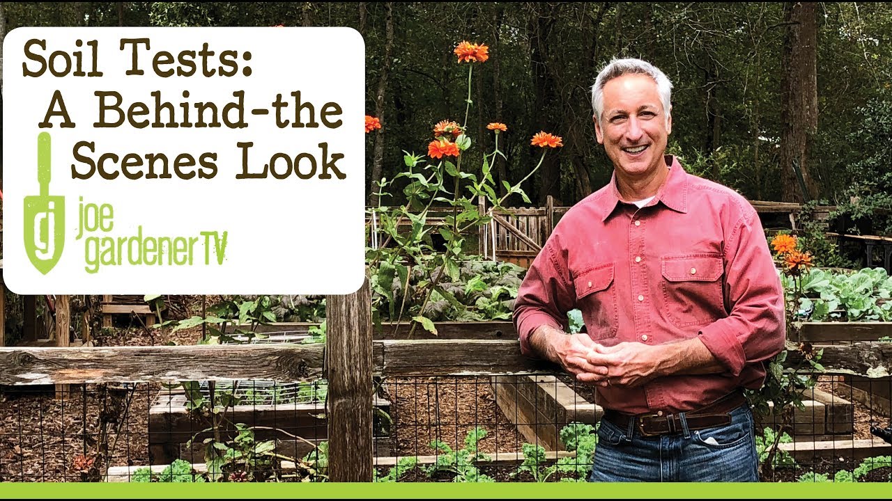 Soil Test Lab Process: A Behind the Scenes Tour
