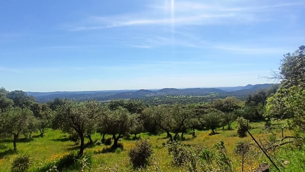 Sierra de Araena y Picos de Aroche - Camino Prado Cruzado (y 2)