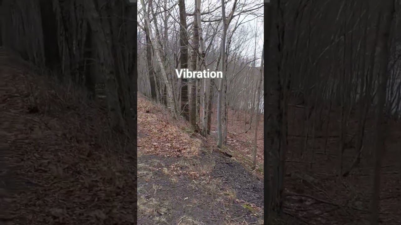 Вибрация 