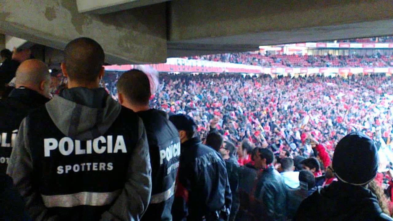 Benfica Topo Sul loucos da cabeça!