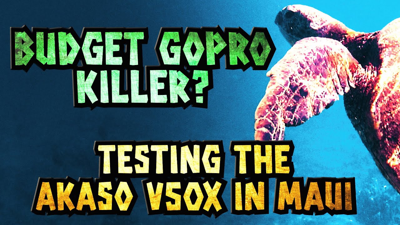 Budget GoPro Killer? Testing the Akaso V50x in Maui! 🏝🐢🌊