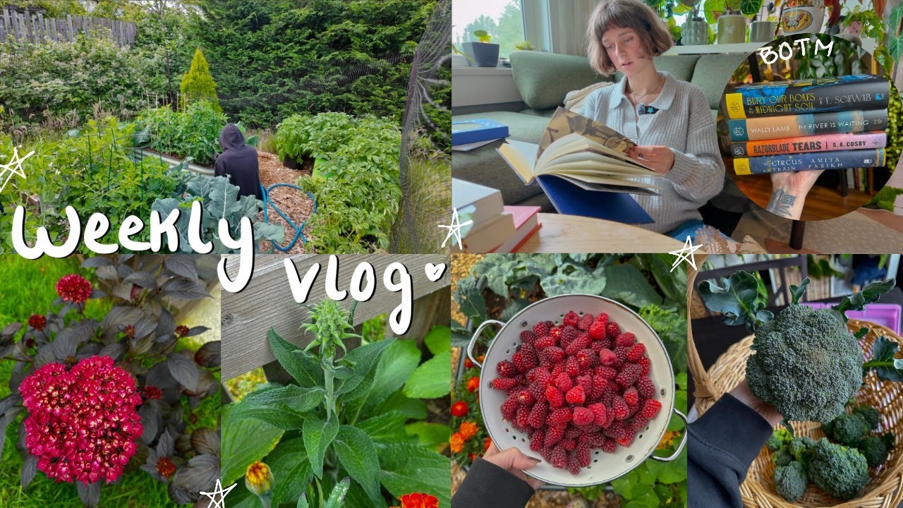 cozy homebody life in my 30's 🐛🧺📚 book unboxings & lush garden updates