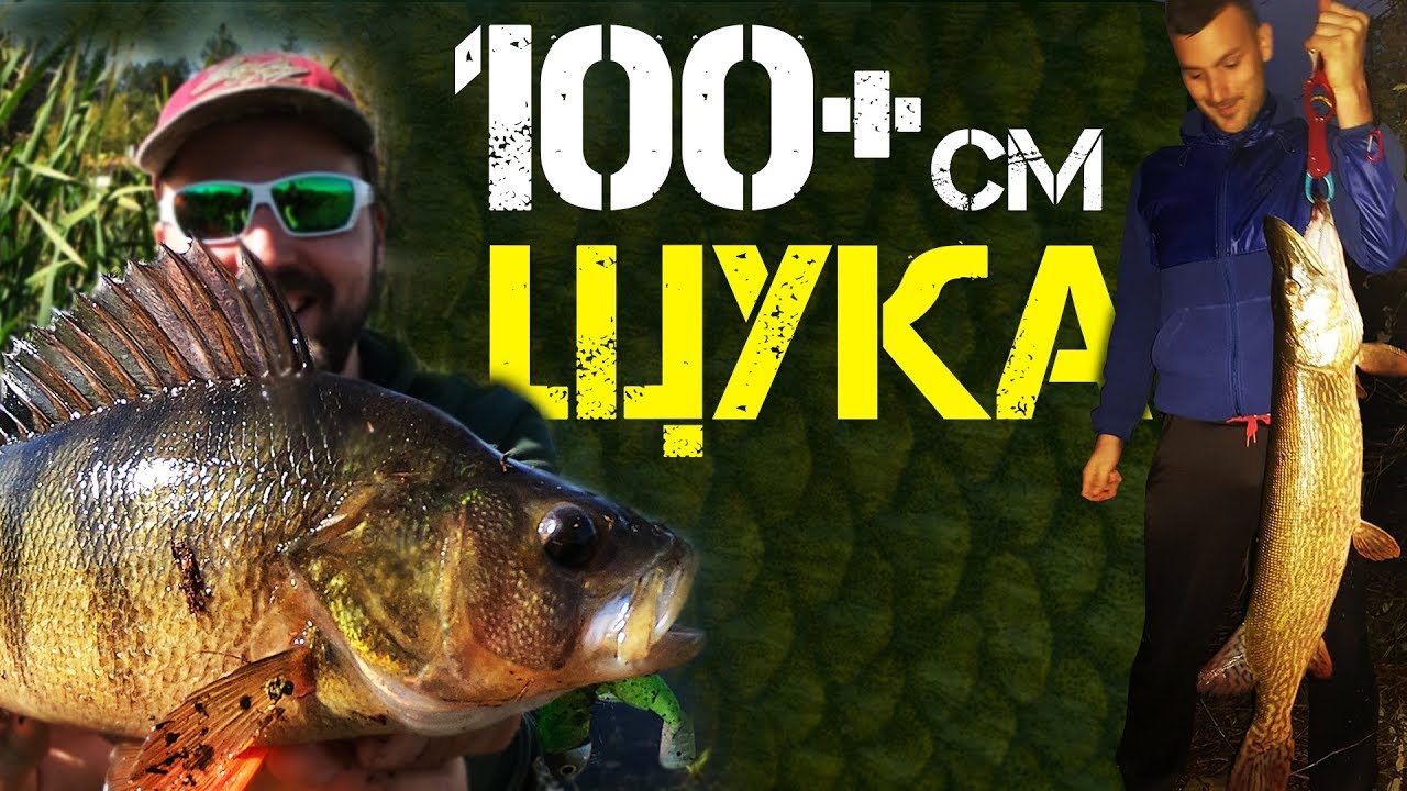 Риболов на ТРОФЕЙНА ЩУКА 100+ см и едър костур / Сом гълъбоядец / Примамки за големи щуки / Pike