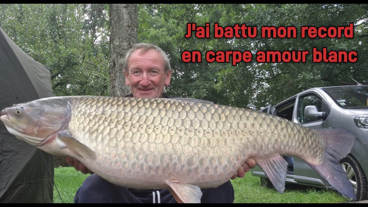 J AI BATTU MON RECORD EN CARPE AMOUR BLANC