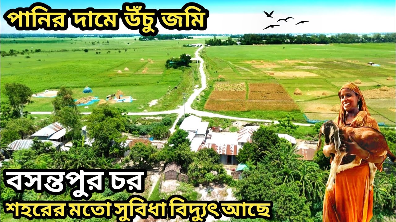 বসন্তপুর চর ঢাকার নিকটে পানির দামে উঁচু জমি শহরের মতো সুবিধা বিদ্যুৎ আছে || #manikganj  ||