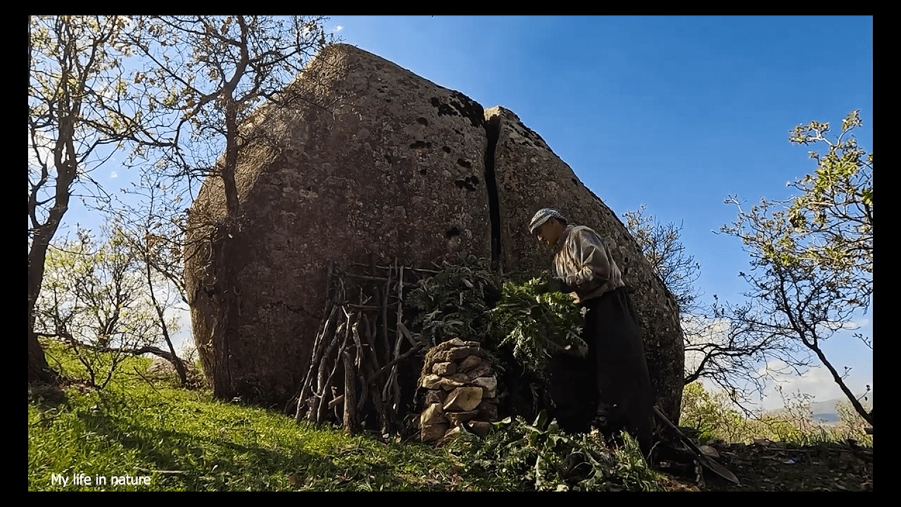 Build a shelter next to a large rock, cook a meal, and play with your pet dog