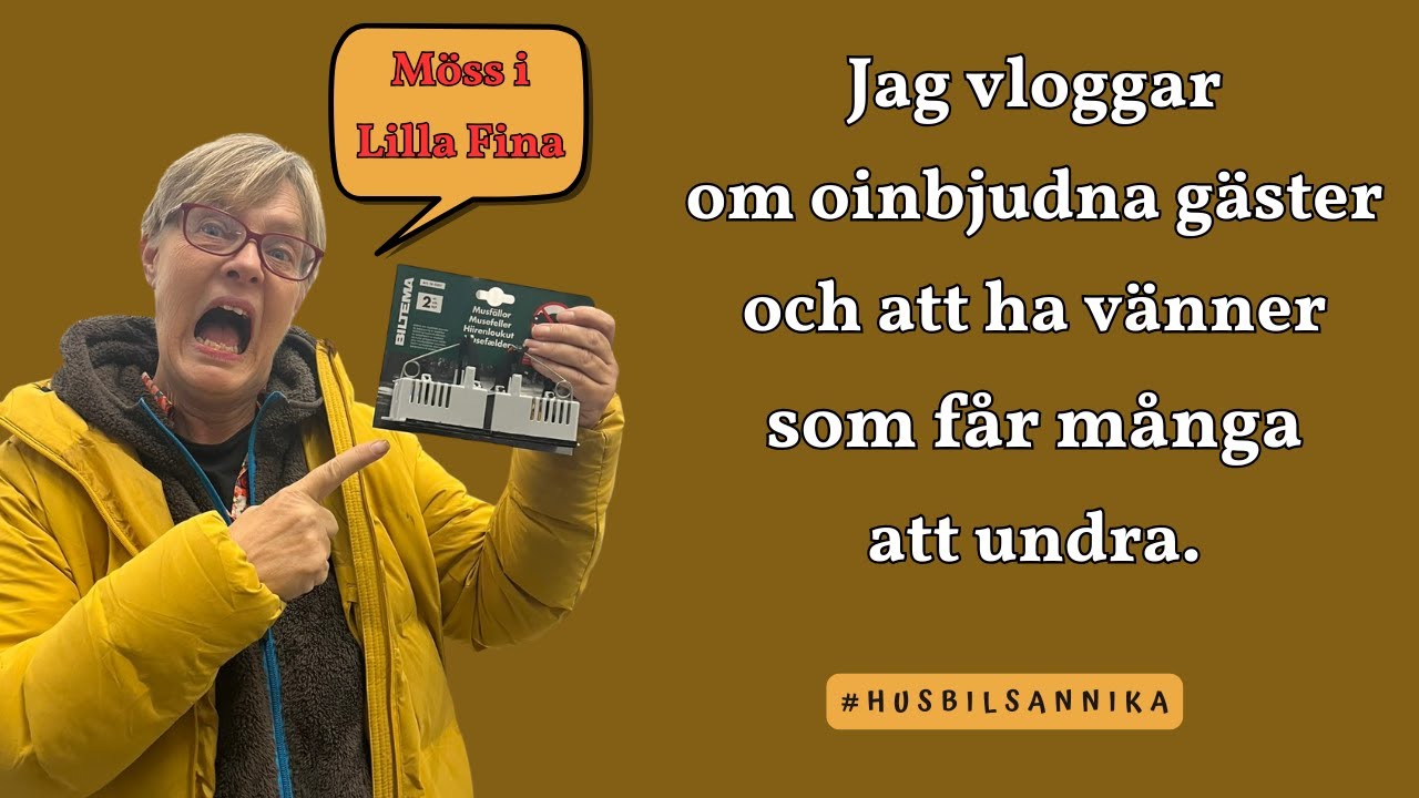 MÖSS I LILLA FINA | HUSBILSLIV PÅ HELTID