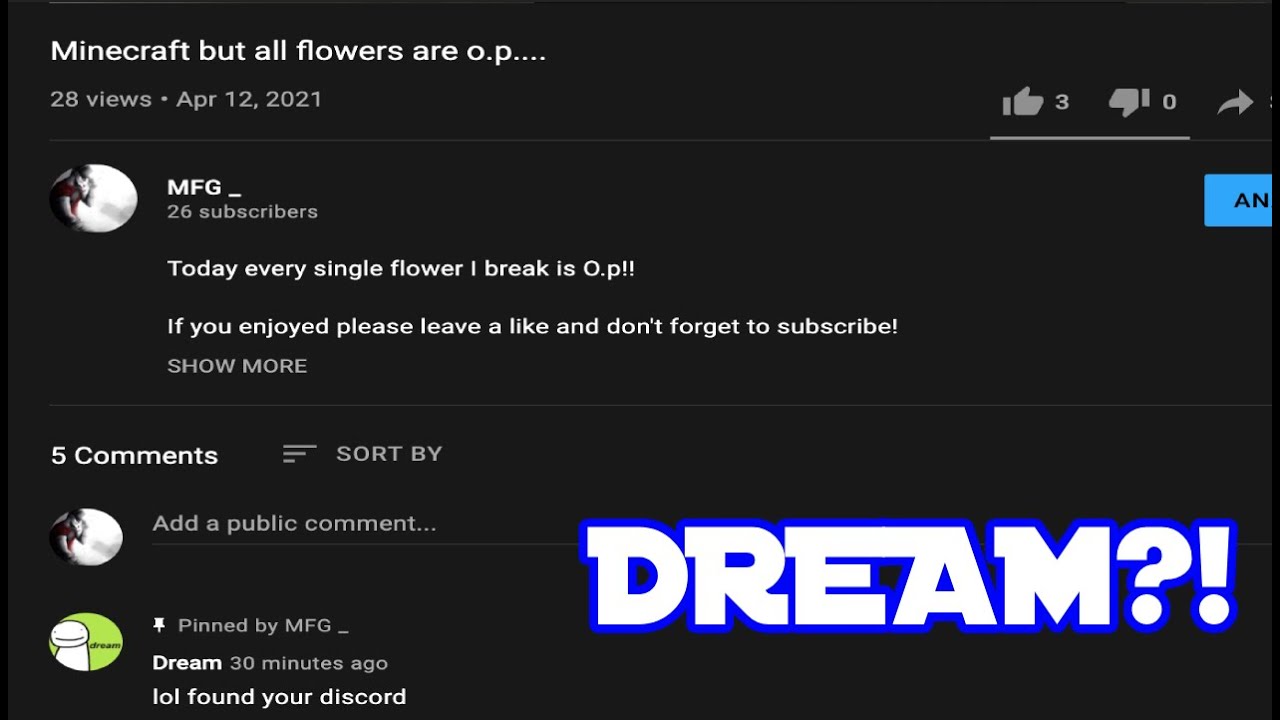 Dream commented on my video! (LEGIT)