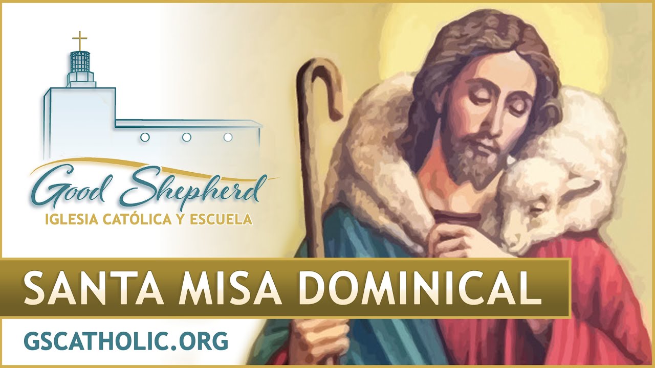 12 PM, 2/8/26: V Domingo Ordinario