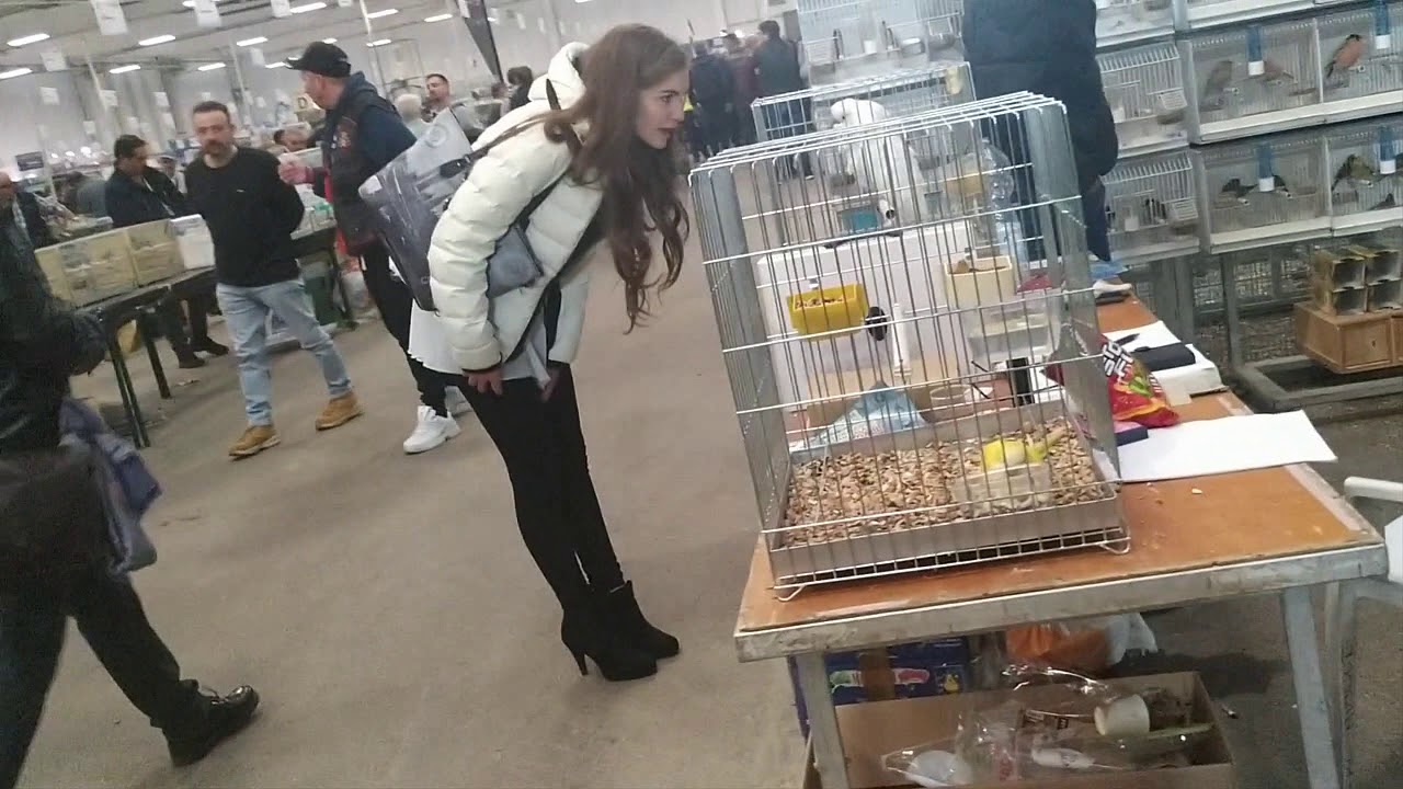 FERIA ORNITOLOGICA DE  REGGIO EMILIA 2019 (1/2)
