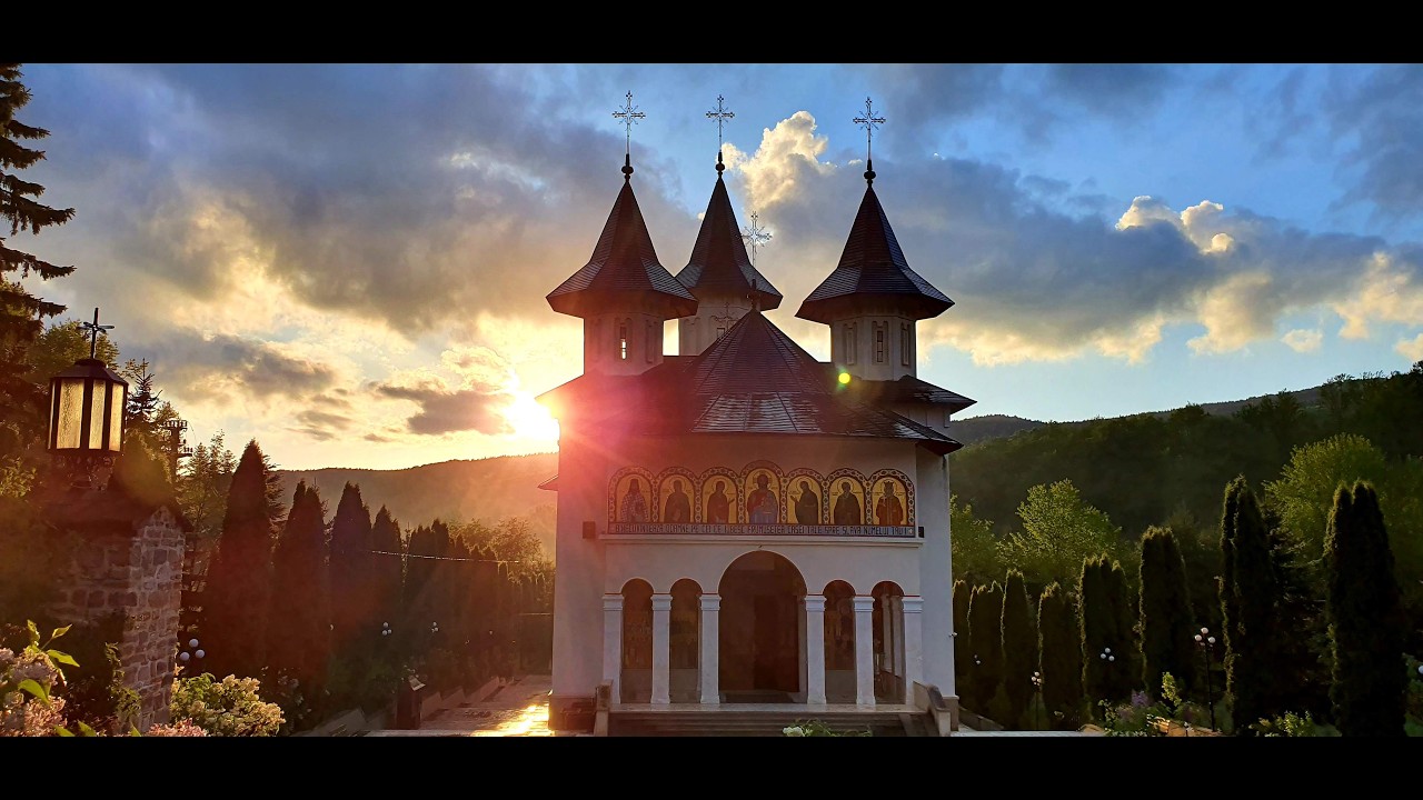 ⭕Live: Pavecernița Mare