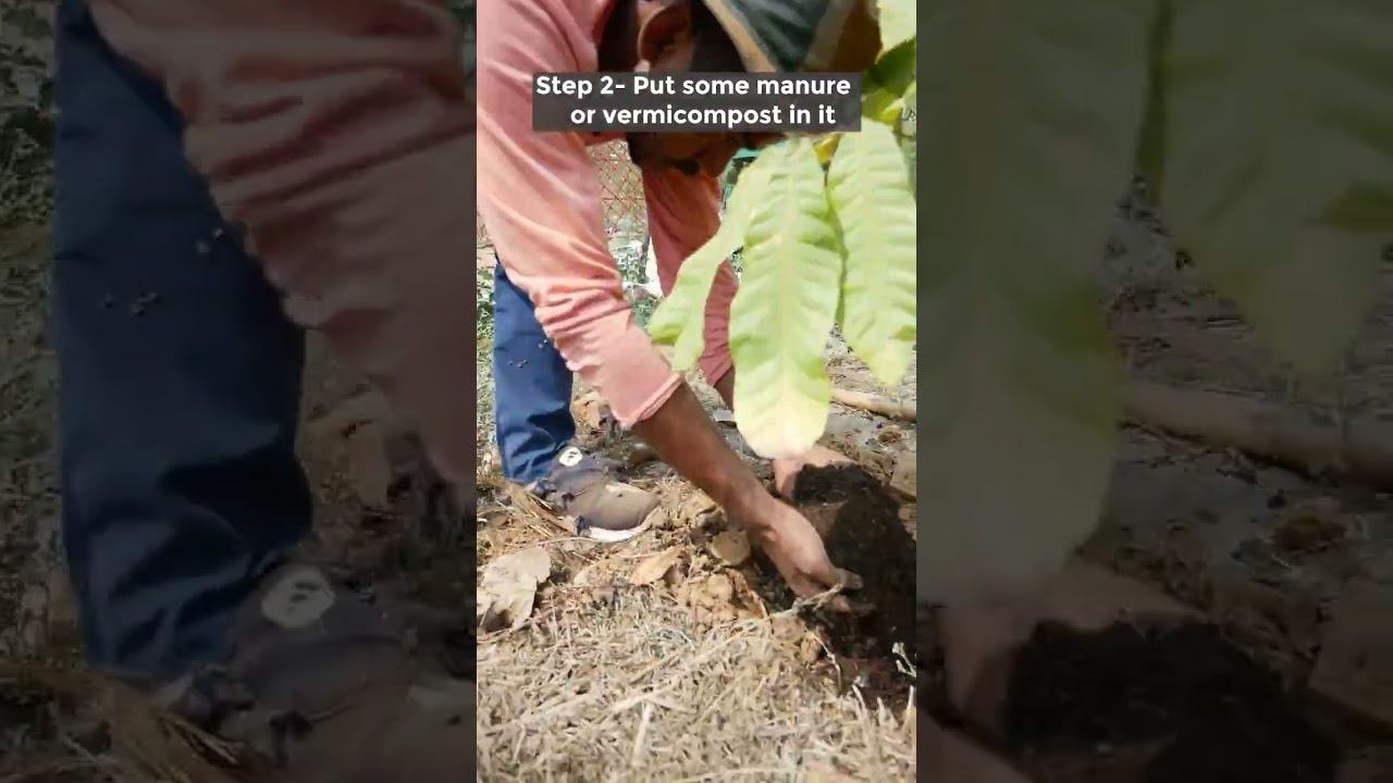 What is mulching and what are its benefits?