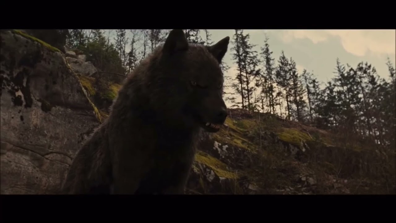 Twilight wolves ~ Power