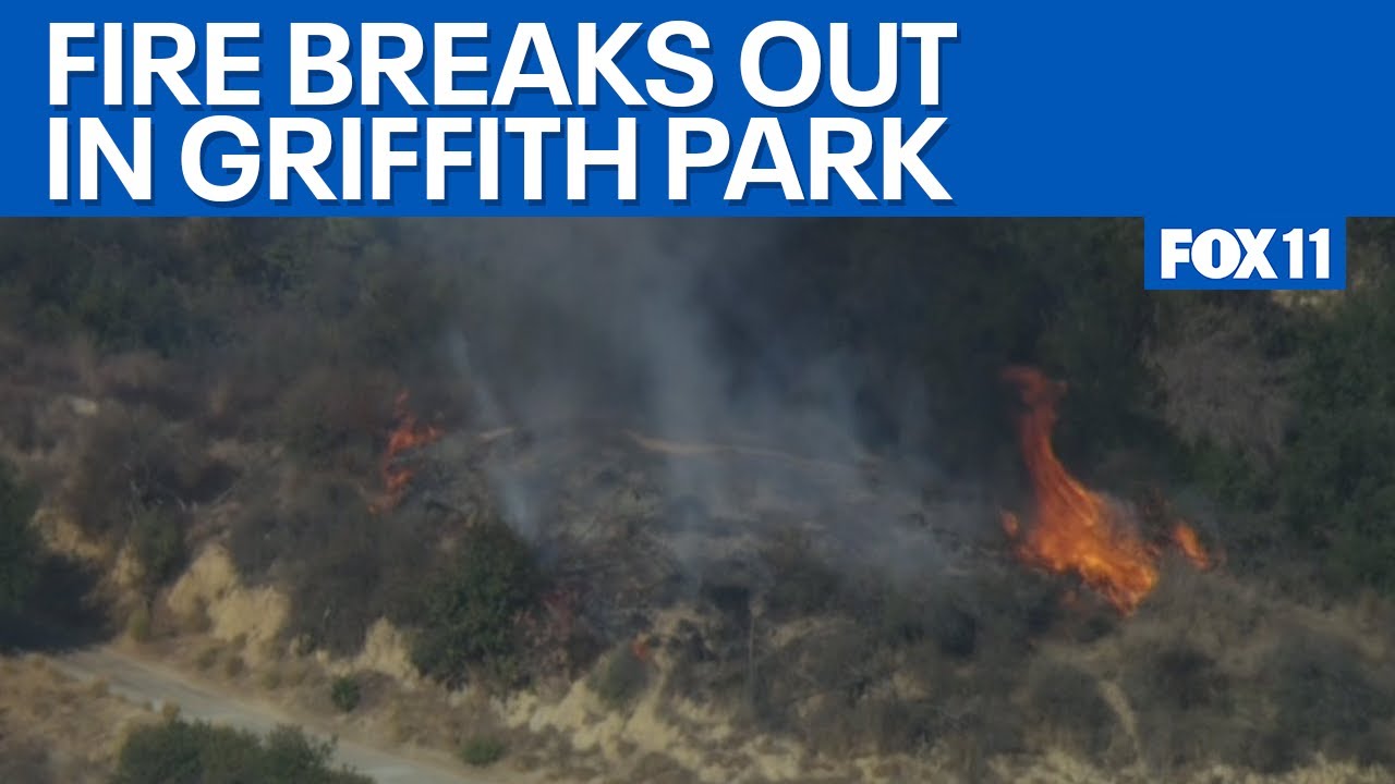Griffith Park fire quickly knocked down