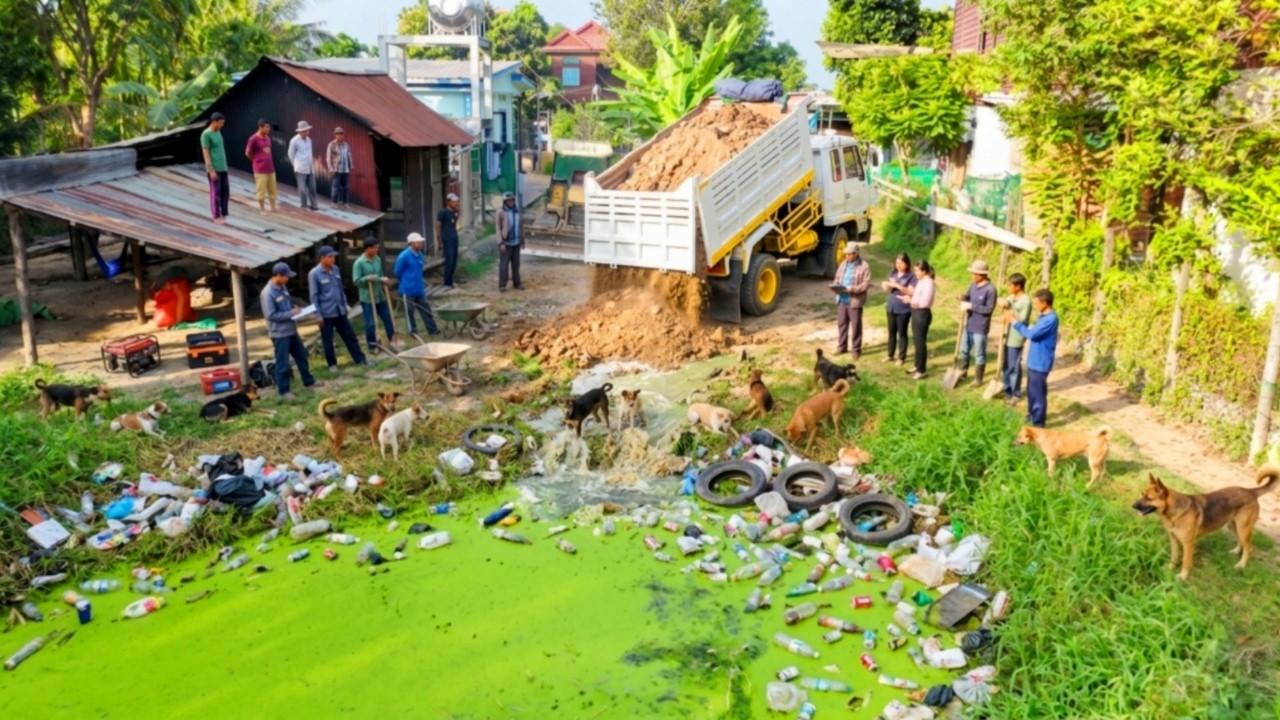 Complete100% Clear POND In The Village by Mini Dozer Pushing Soil & 5-T Dump Truck Unloading Dirt