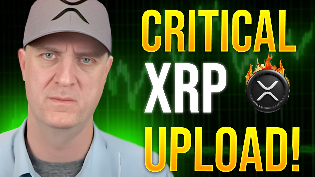 ВЛАДЕЛЬЦЫ XRP 🚨 ОБНОВЛЕНИЕ В СООТВЕТСТВИИ С ЗАКОНОМ О КРИТИЧЕСКОМ УРОВНЕ РАЗУМНОСТИ