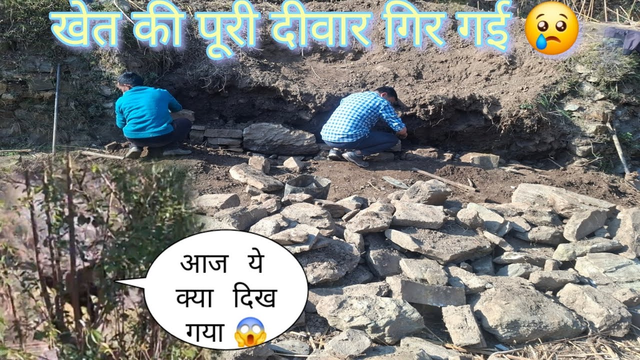 आज गये खेत की दीवार लगाने और वहां दिखा एक अजीब सा जानवर 😱  || pahadi lifestyle vlog ||