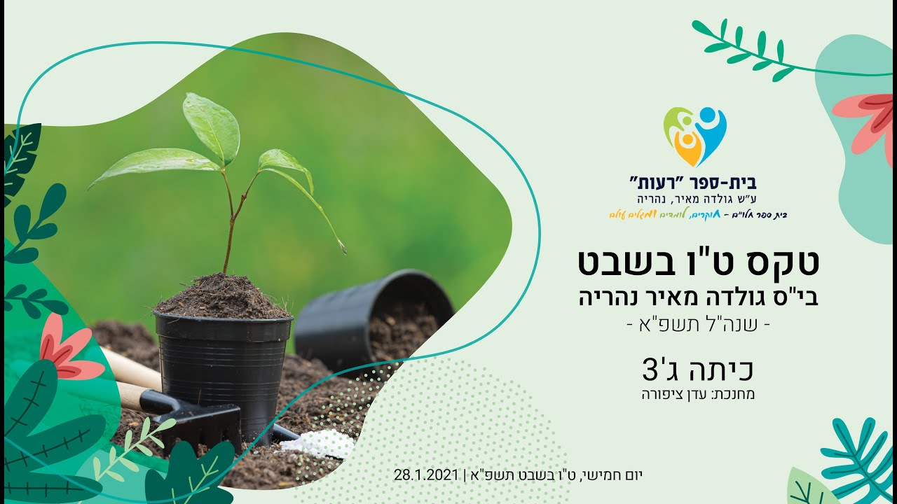 טקס ט